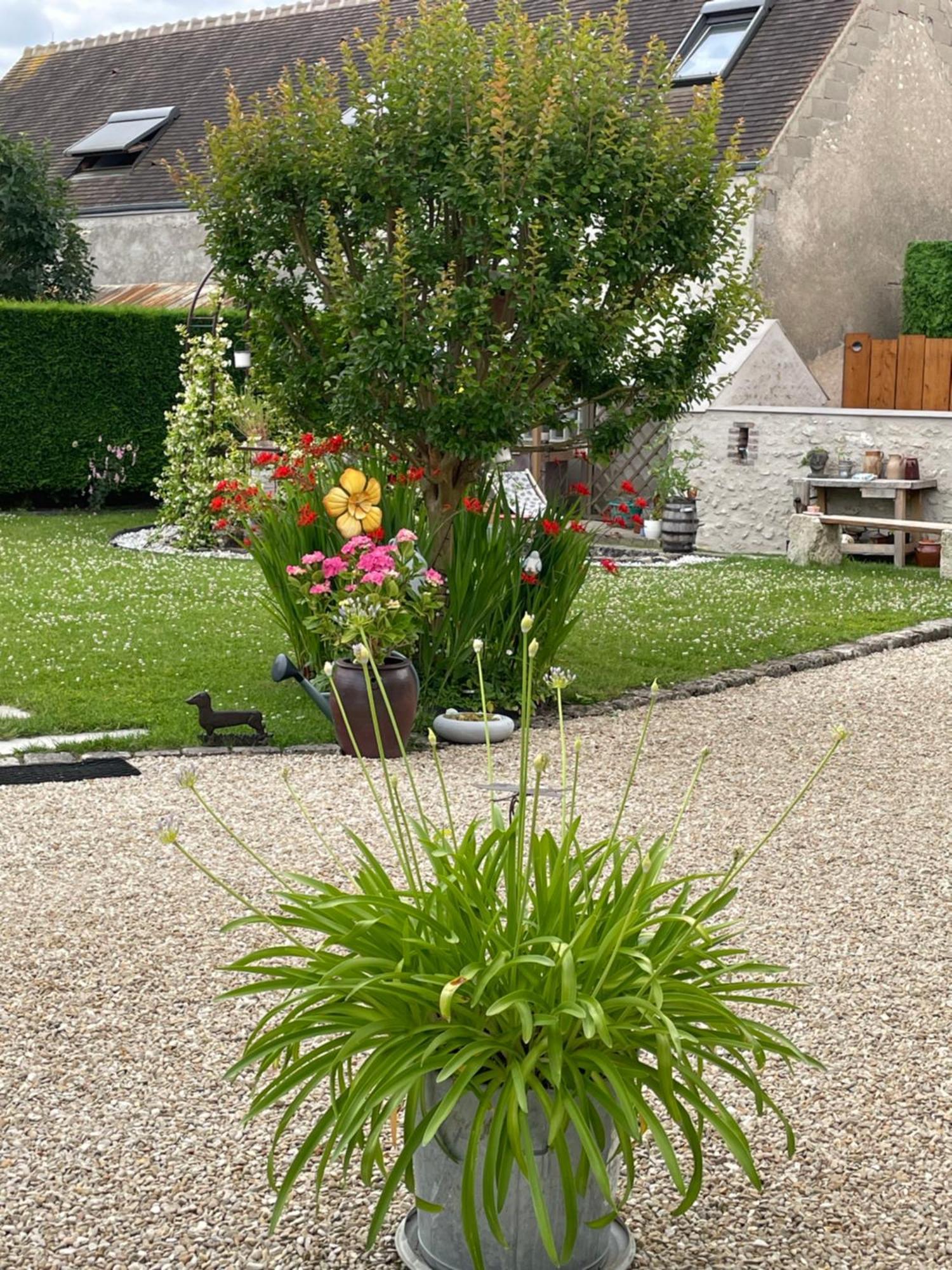 Le Clos Du Q'Hatre Clery-Saint-Andre ภายนอก รูปภาพ